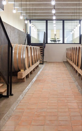 Cave vin Château Réal d'Or